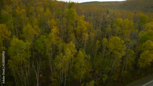 Aerial, above the road, view of mountains covered beautiful gold autumn forest and country road under cloud sky and sunbeam