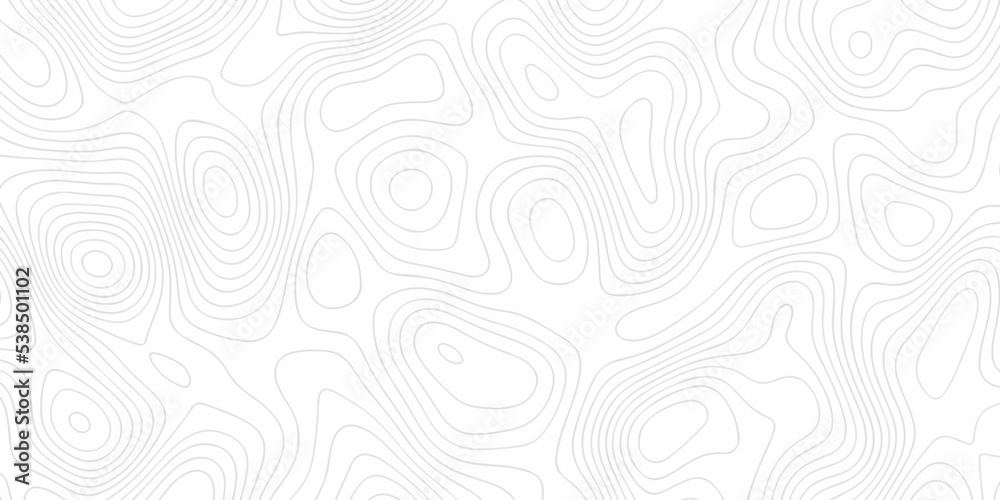 White wave paper curved reliefs abstract background, Abstract topographic contours map background, Vector contour topographic map background. Topography and geography map grid abstract backdrop.