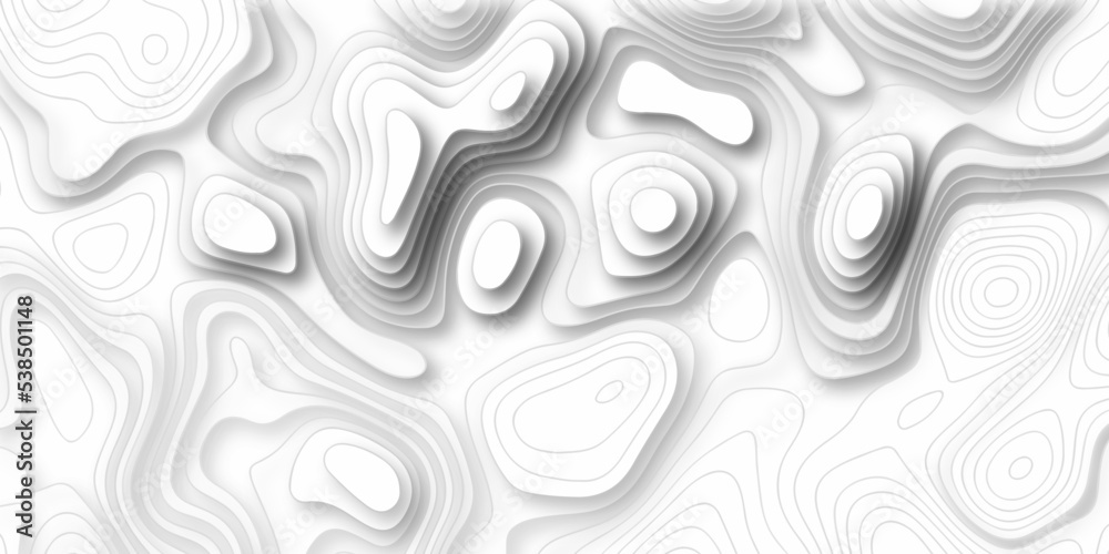 White wave paper curved reliefs abstract background, Abstract topographic contours map background, Vector contour topographic map background. Topography and geography map grid abstract backdrop.