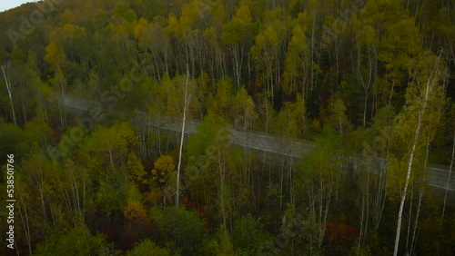 Aerial view of mountains covered beautiful gold autumn forest and village road under cloud sky and sunbeams