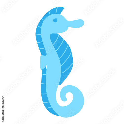 seahorses and seawater squid
