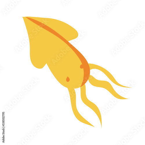 seahorses and seawater squid