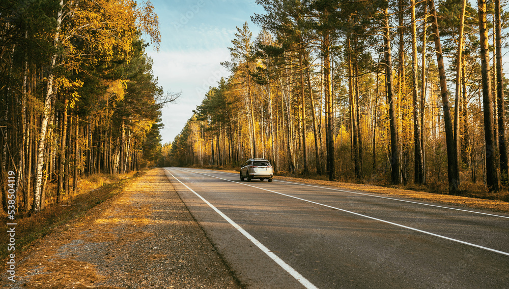 Obraz premium road in autumn