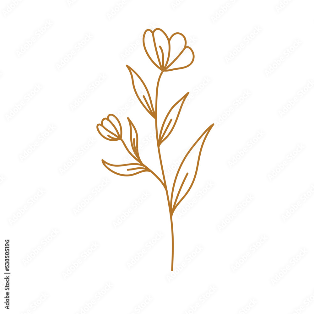 golden aesthetic botanical flower plant golden aesthetic botanical flower plant