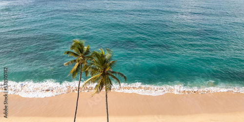 Aerial drone panoramic view of the paradise beach with two palm trees