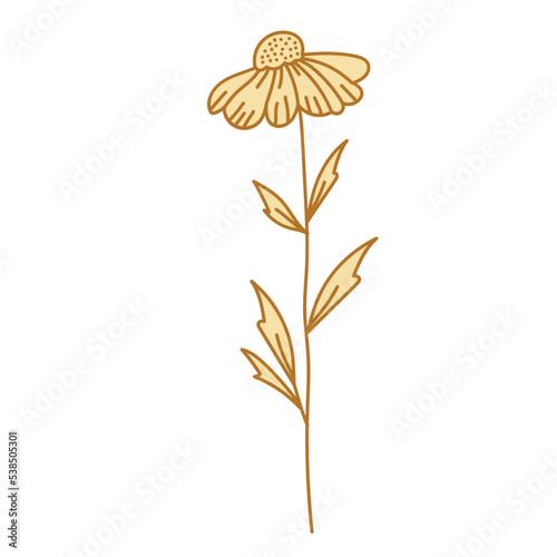 golden aesthetic botanical flower plant