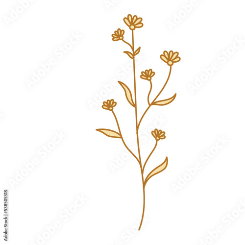 golden aesthetic botanical flower plant