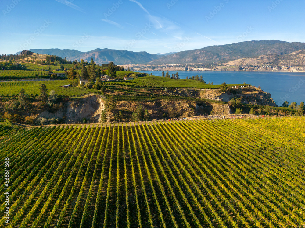 Naramata Bench Winery Vineyard Penticton Okanagan Valley