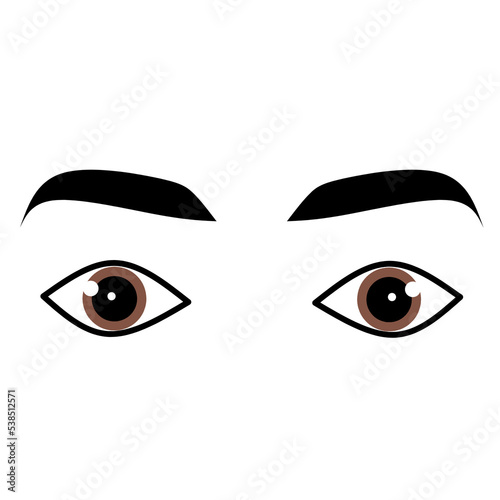 Eyes with eyebrow PNG