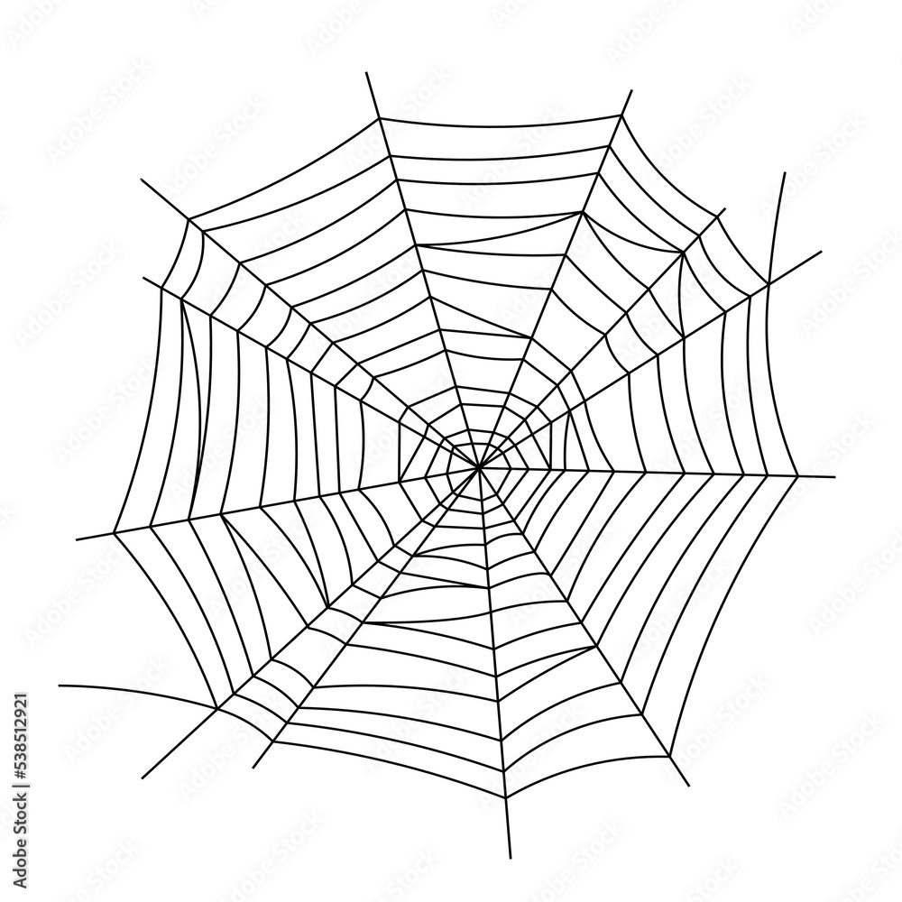 Obraz premium spider web vector illustration line art logo icon