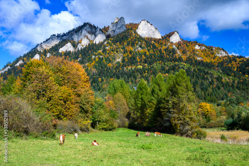 Fototapeta Naklejka Na Ścianę i Meble -  View of Trzy Korony in the Pieniny National Park on a sunny autumn day.