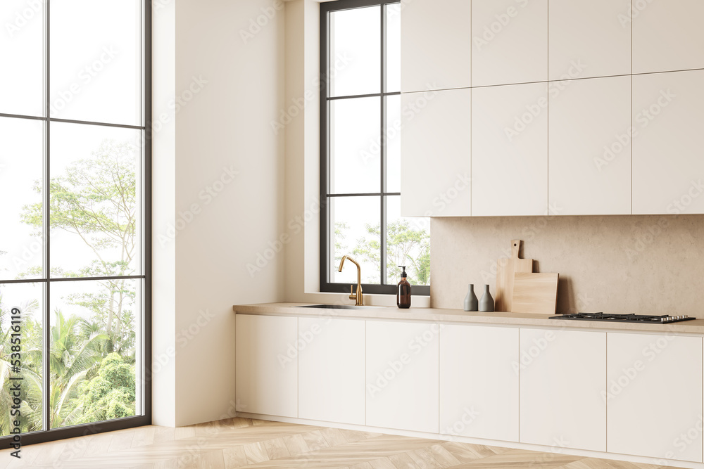 Luxury kitchen interior with sink and appliances, panoramic window Luxury kitchen interior with sink and appliances, panoramic window