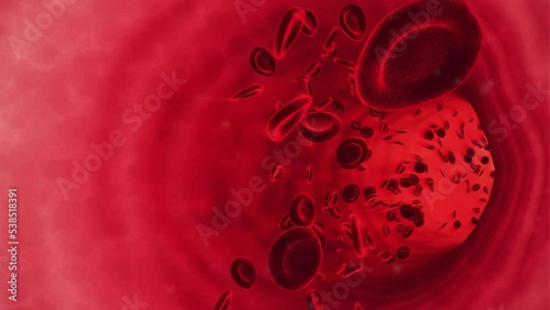 3D medical animation of red blood cells flowing through a blood vessel, microscopic bloodstream healthcare medicine education footage