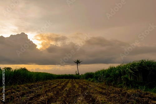 the sky at dusk in the fields