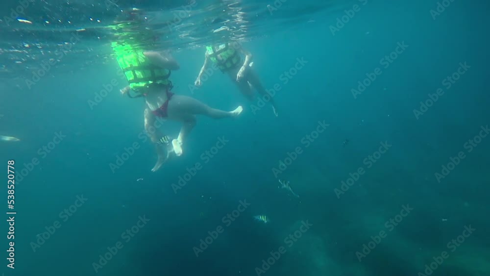 People snorkelling with many colourful striped ocean wild fishes, enjoying diving to the reefs in clear water. Underwater footage People snorkelling with many colourful striped ocean wild fishes, enjoying diving to the reefs in clear water. Underwater footage