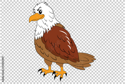 Vulture cartoon vector on isolated background 