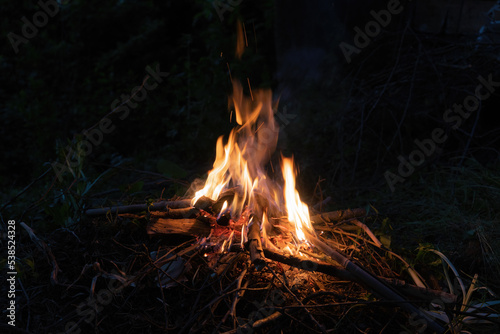 Fire at night in camp from wooden logs.