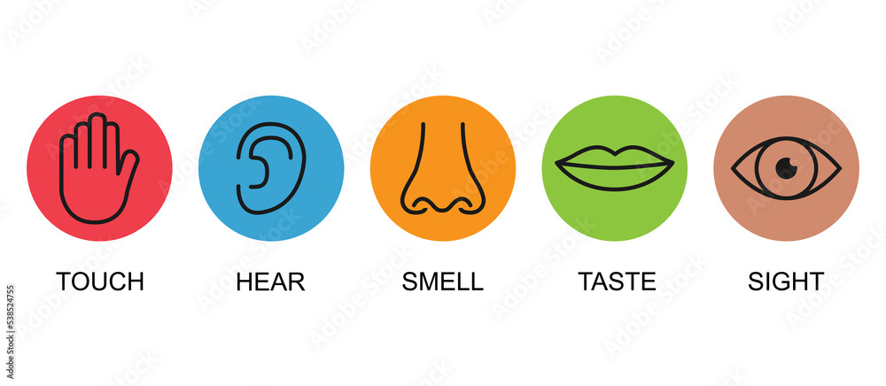 Outline icon set of five human senses: vision eye smell nose hearing ear touch hand taste mouth with tongue