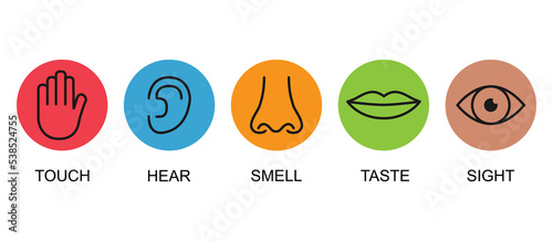 Outline icon set of five human senses: vision eye smell nose hearing ear touch hand taste mouth with tongue