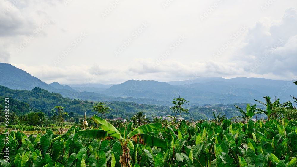 Beautiful hill view, West Java, Indonesia Beautiful hill view, West Java, Indonesia