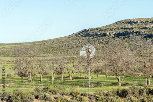 Windmill and leafless trees, at Vredehoek farm photo