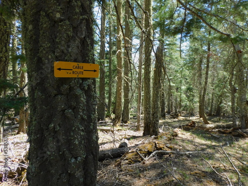 trail sign in forest