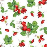 Watercolor seamless pattern with Dog Rose, Brier leaves and branches with berries. Autumn illustration isolated on white