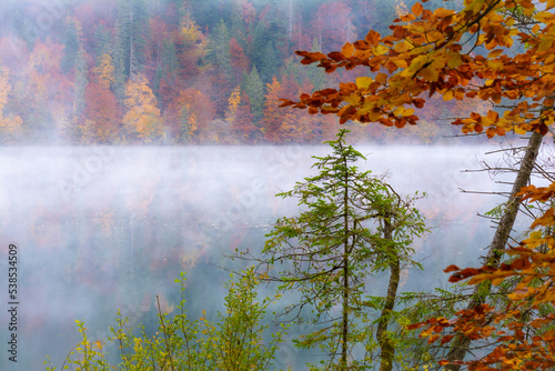 See mit Nebel und Bäume im Herbst photo