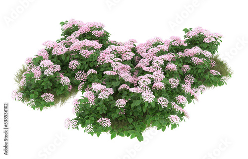 Field of grass with flowers on transparent background. 3d rendering - illustration