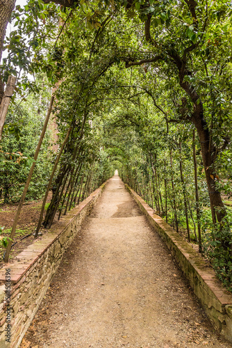 Florence, Italy. Green "tunnel" in the Boboli Gardens (UNESCO)