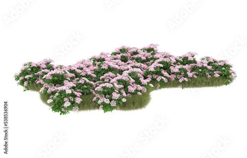 Field of grass with flowers on transparent background. 3d rendering - illustration