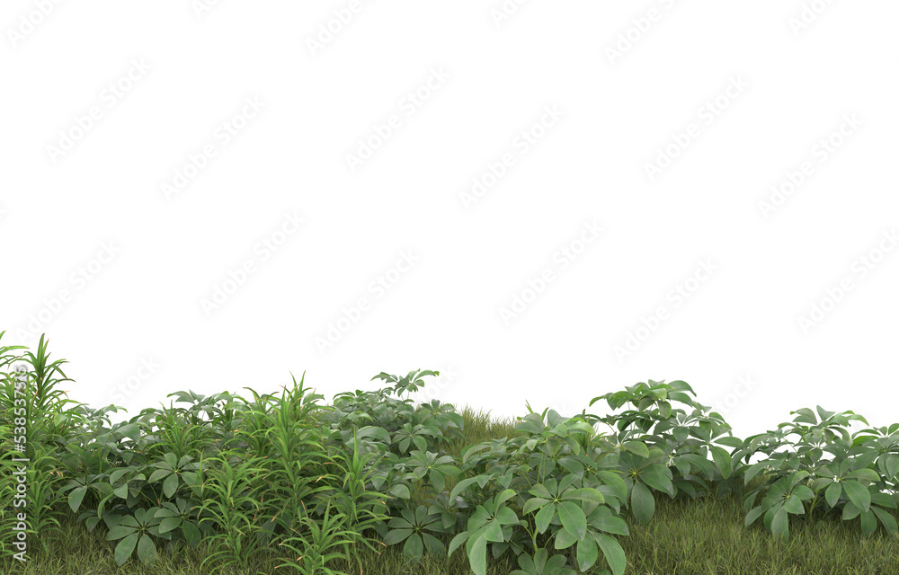 Field of grass with flowers on transparent background. 3d rendering - illustration Field of grass with flowers on transparent background. 3d rendering - illustration