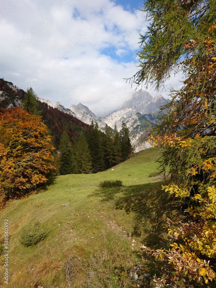 Die Bindalm im Berchtesgadener Land