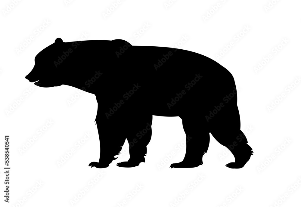Fototapeta premium Adult bear. Wild animals. Silhouette figures. Isolated on white background. Vector