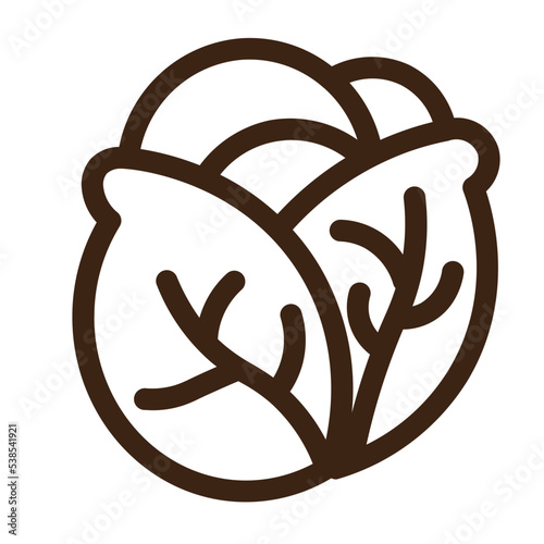 cabbage diet food health vegan vegetable vegetarian icon