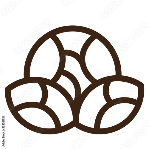 cabbage diet food vegan vegetable icon