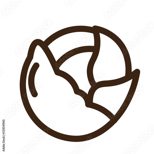 cabbage eat food vegetable veggie icon