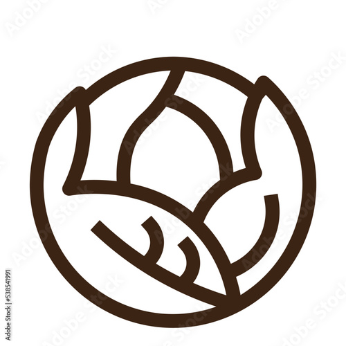 cabbage fit food garden vegetable vitamins icon