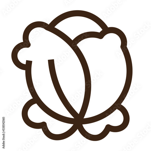 cabbage food vegetable cooking healty icon