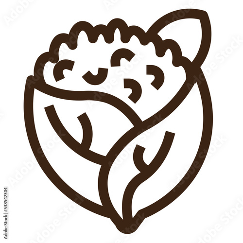 calories cauliflower cooking delicious fresh healthy vegetable icon