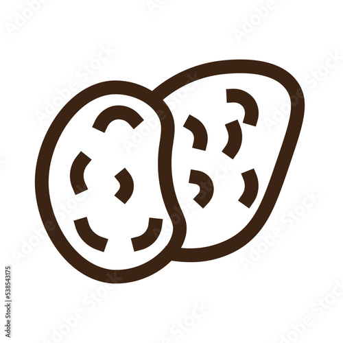 carbs cooking healthy potato root vegetable vegetarian icon