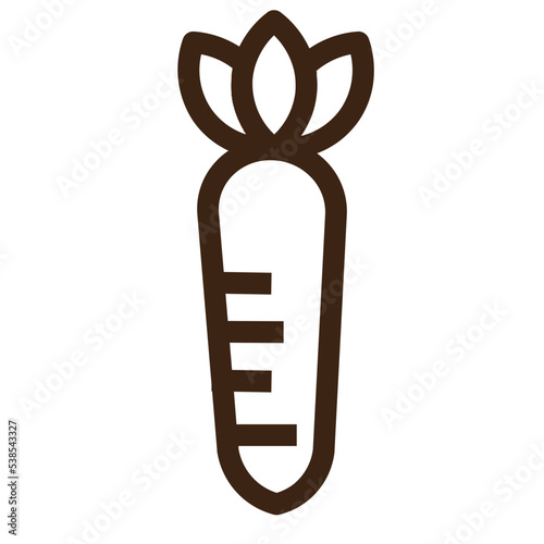 carrot cook food healthy juice salad vegetable icon