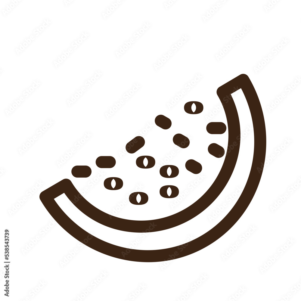 cantaloupe food fruit watermelon watermelon slice icon cantaloupe food fruit watermelon watermelon slice icon
