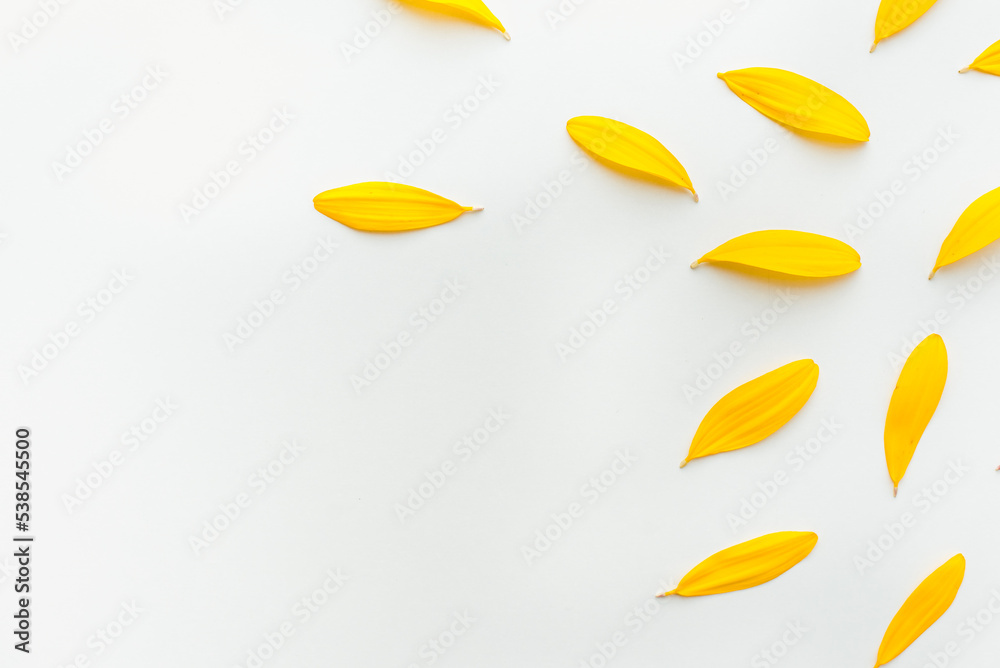 Autumn leaves background. Yellow petals on a white background. Background from yellow petals. Colored background.