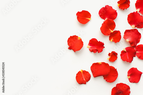 Red petals on a white background. Red rose petals.