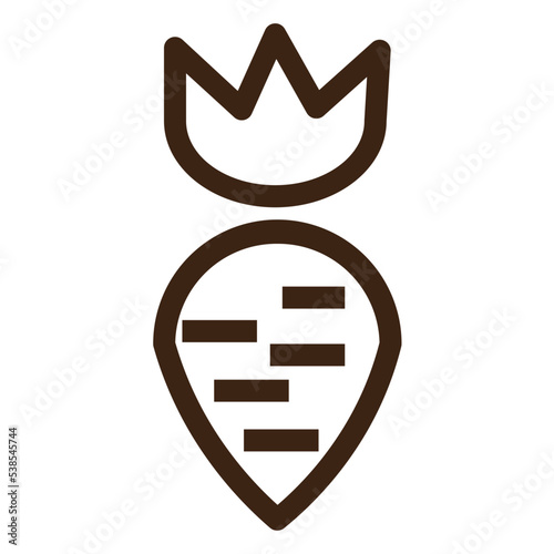 carrot raw food vegan vegetable vegetarian icon