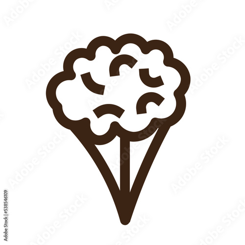 cauliflower diet food healthy vegetable icon
