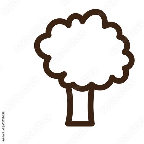cauliflower fresh green healthy natural vegetable white icon