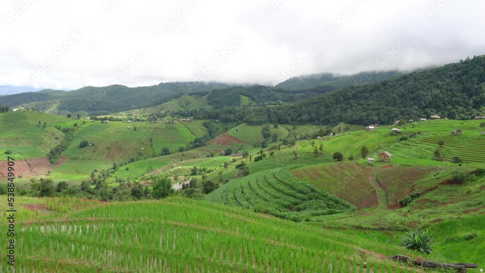Mountain farming Ban Pa Bong Piang Rice Terrace, Chiang Mai, Thailand. Mountain farming Ban Pa Bong Piang Rice Terrace, Chiang Mai, Thailand.