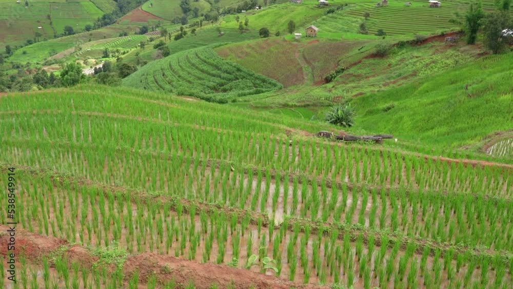 Mountain farming Ban Pa Bong Piang Rice Terrace, Chiang Mai, Thailand. Mountain farming Ban Pa Bong Piang Rice Terrace, Chiang Mai, Thailand.